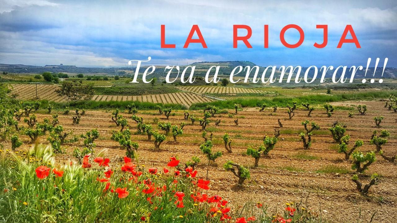 El Rincon Del Marques Centro Con Encanto By Apartamentos لوغرونيو المظهر الخارجي الصورة